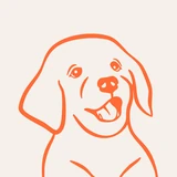 Retriever app icon